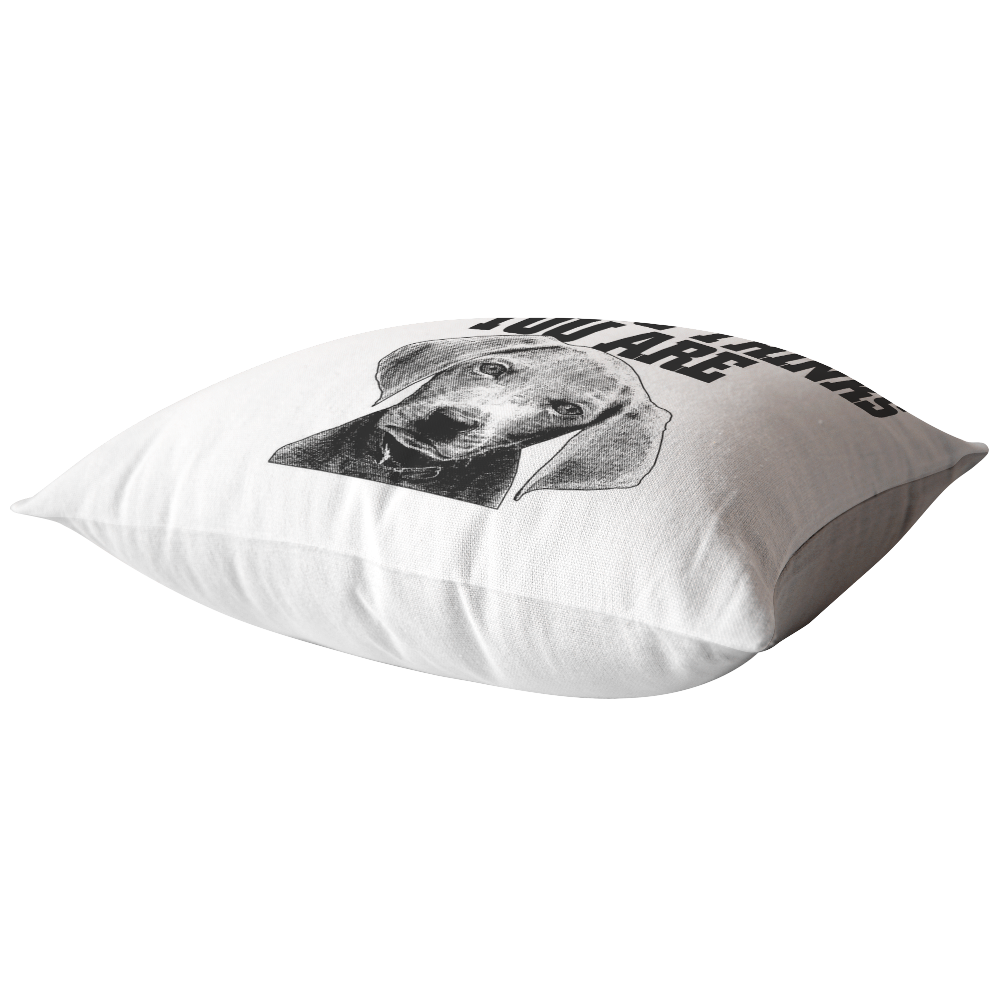 Be the person your dog thinks you are - Pillow